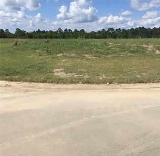 134 #134 Snowy Egret Dr, Lake Charles, LA 70615
