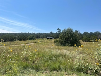 0 Ballenger Ranch Rd, Edgewood, NM 87015