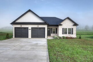 255 Greenwood Rd, Afton, TN 37616