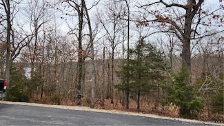 Lot 168 Forestridge Ln, Jasper Township, MO 65079