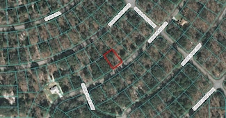 00 Guava Place, Ocklawaha, FL 32179