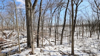 0 Vl Doster Rd Unit LotWP001, Plainwell, MI 49080