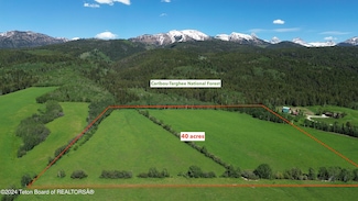 40 ACRES E Rigby Rd, Alta, WY 83414