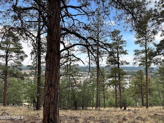 1548 W Lower Coconino Ave, Flagstaff, AZ 86001