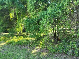 556 N Corbin Ave, Inverness, FL 34453