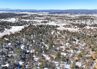 0 Private Drive 1781a, Los Ojos, NM 87551
