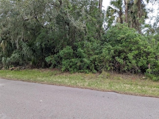 22438 Blanchard Ave, Port Charlotte, FL 33952