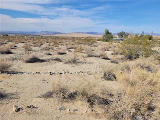 7100 Wilshire Ave, Twentynine Palms, CA 92277
