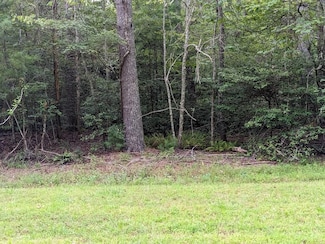 Lot 11 Quail Cove Cir, Warne, NC 28909