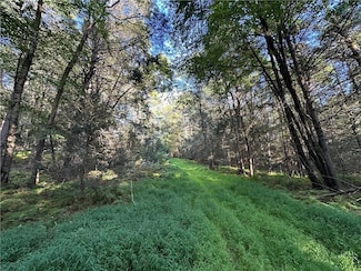 15 Ward Brower Junior Dr, Barryville, NY 12719