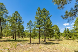 1590 E Castle Hills Dr, Flagstaff, AZ 86005