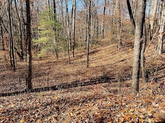 TBD Ash Knob Rd, Hayesville, NC 28904