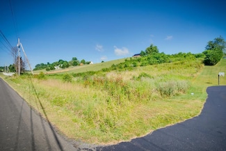 3.646 AC Old Saltworks Rd, Meadowview, VA 24361