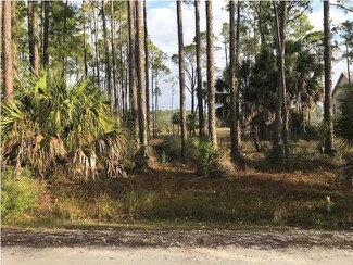 23 Painted Pony Rd, Port St. Joe, FL 32456