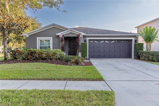 30930 Temple Stand Ave, Wesley Chapel, FL 33543