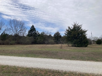 Lot 1 Turtle Tracks Rd, Grant Township, MO 65648