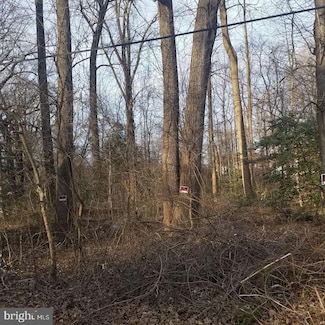 2488 Lee St, Gambrills, MD 21054