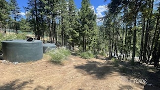 133 Autumn Ct, Post Mountain, CA 96041
