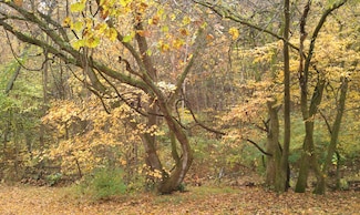 4091 New Highway 96 W, Franklin, TN 37064