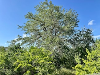 0 County Road 104 Unit 1910731, Pettus, TX 78146