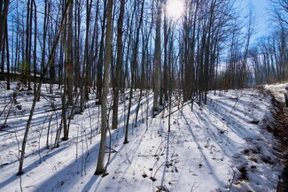 381 & 382 Beechwood Dr, Lyon Township, MI 48653