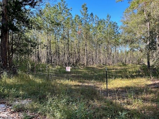 0 SW Catherine Ln, Lake City, FL 32025