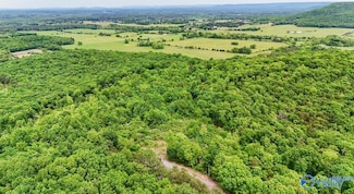 1111 Gum Springs Rd, Hartselle, AL 35640