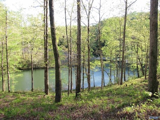 703 Legendary Pkwy, Arley, AL 35541