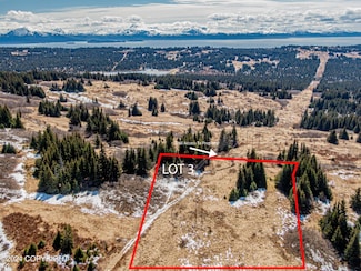 L3 Salin's Spur Rd, Homer, AK 99603