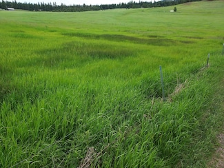 2 Old Ranch House Rd, Republic, WA 99166