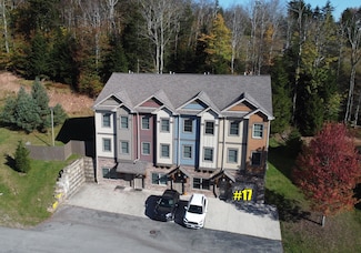 17 Creekside Dr, Snowshoe, WV 26209