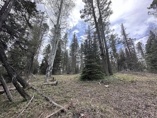 766 Crest Dr Unit 22, Out of Area, CO