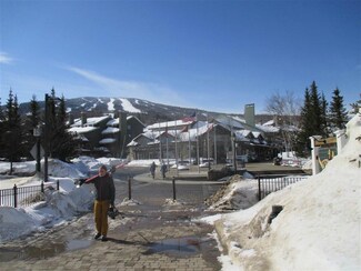 761 Stratton Mtn Access Unit 342, Stratton, VT 05155