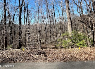 206 Cumberland View Estates, Rocky Top, TN 37769