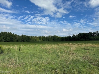 V/L 4 Fenstermaker Rd, Garrettsville, OH 44231