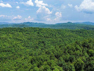 0 Hickory Hill Cir, Duff, TN 37729