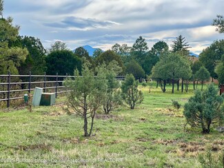 196 Eagle Ridge Rd, Alto, NM 88312