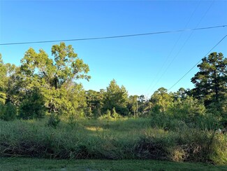 0 Trailwood Ln Unit 63071586, Coldspring, TX 77331