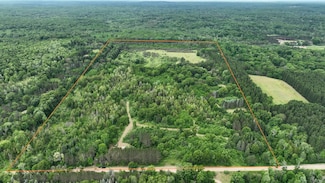11206 Nolan Rd, Nester Township, MI 48624