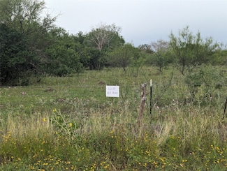 Lot 9 Cr 430, Premont, TX 78375