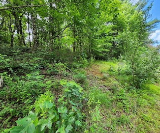 TBD Hickory Hollow Ln SE, Copper Hill, VA 24079