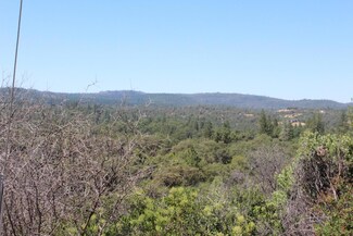 9943 Frenchtown Dobbins Rd, Dobbins, CA 95935