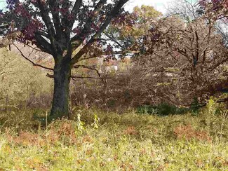 Lot 14 Ryan Rd, Platteville, WI 53818