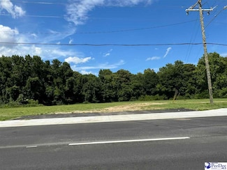 10.83 N Main St, Darlington, SC 29532
