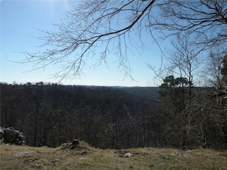 167 Holiday Island Dr, Holiday Island, AR 72631