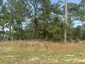 51 St Ct, Ocala, FL 34473