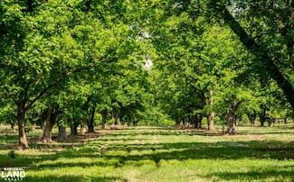 0 Highway 18 Hwy Unit 25482711, Raymond, MS 39154