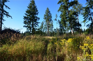 12700 118th Ave SE, Rainier, WA 98576