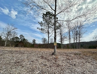 21 Arbor Creek Trail, Mineral Bluff, GA 30559