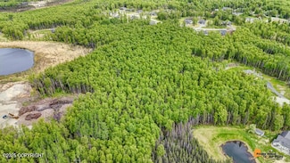 6458 W Creeksedge Dr, Wasilla, AK 99623